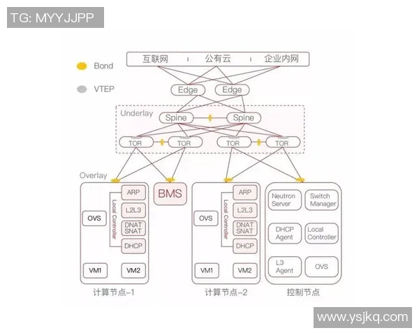 体育世界纵横：探索全球竞技场背后的传奇与未来发展趋势