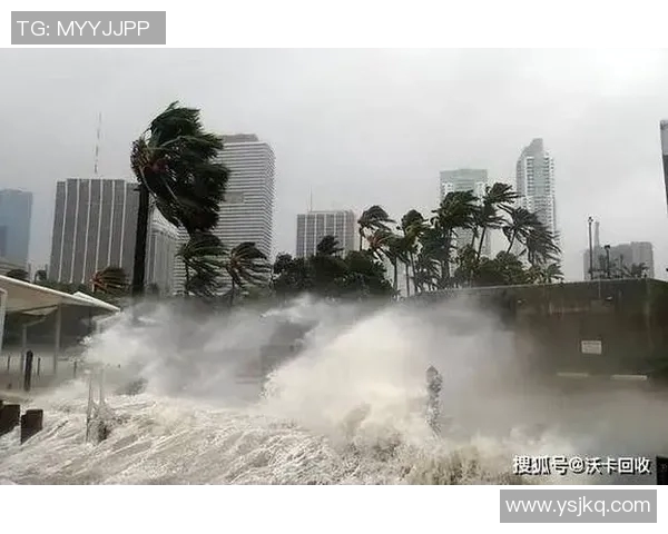 全球气候变化加剧 极端天气频发各国纷纷加大应对力度